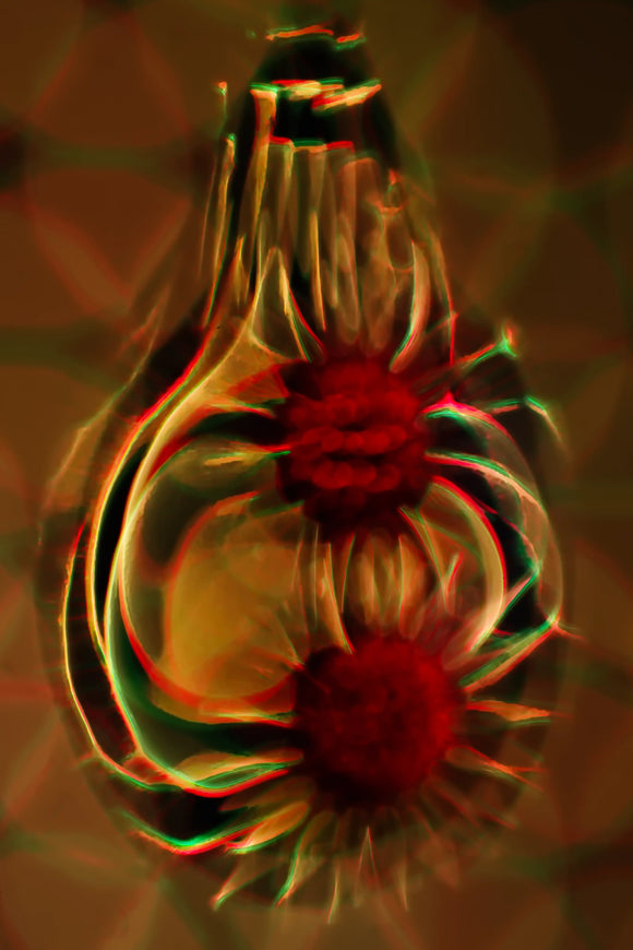 Abstract 013