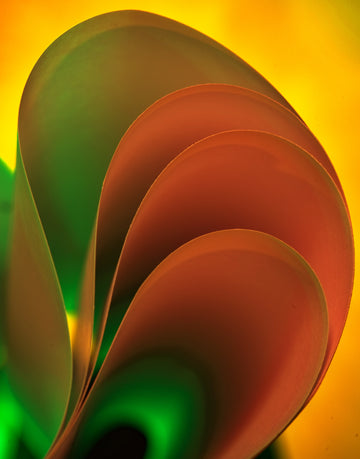 Foil & Paper 042-A