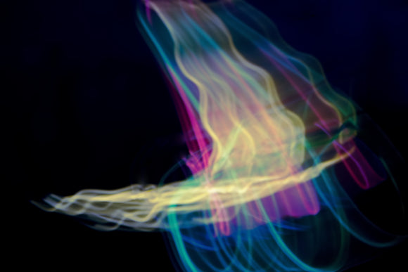 Intentional Camera Movement 008