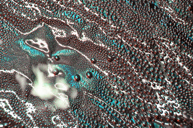 Liquids 001