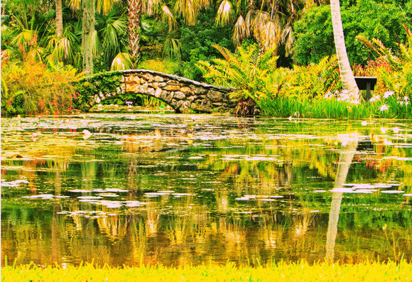 Nature & Flowers 007